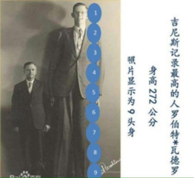戴文青木:“我没p图呀，我真的155cm九头身呀，呜呜！！”