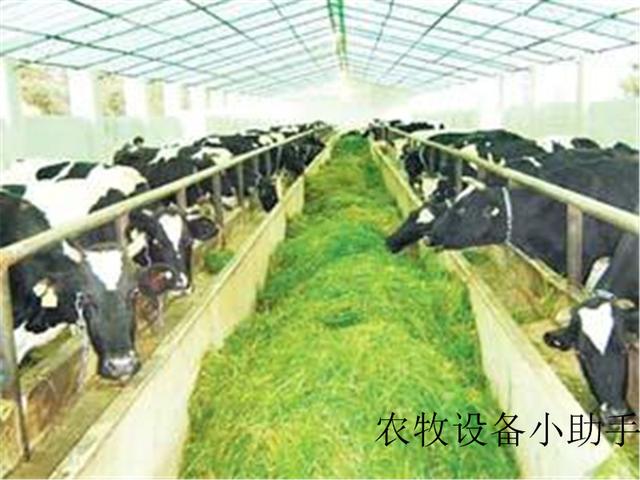 关于辊式饲料破碎机的信息