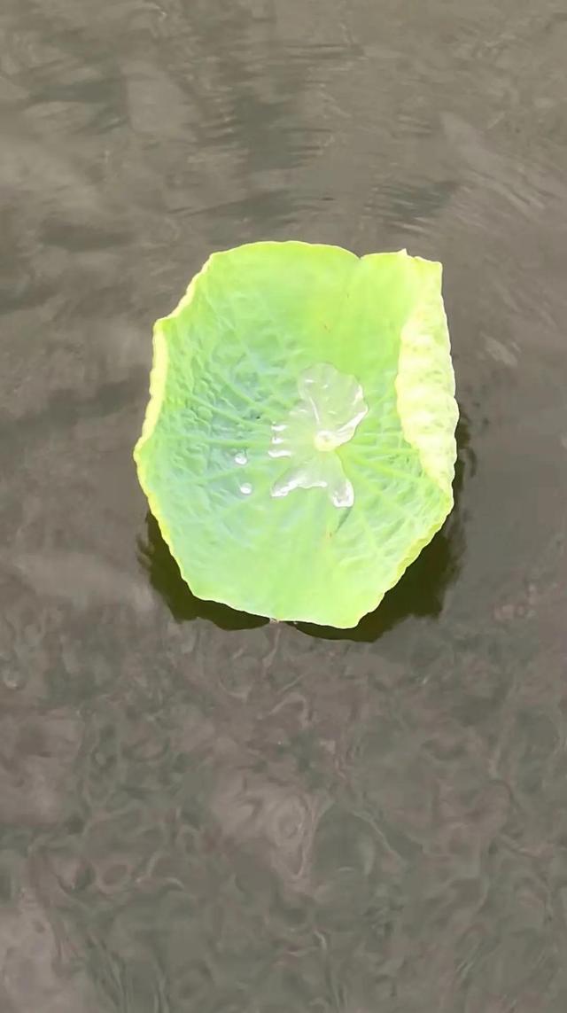 3年前的华为nova3，6+128G现在不足千元，难道不香吗？