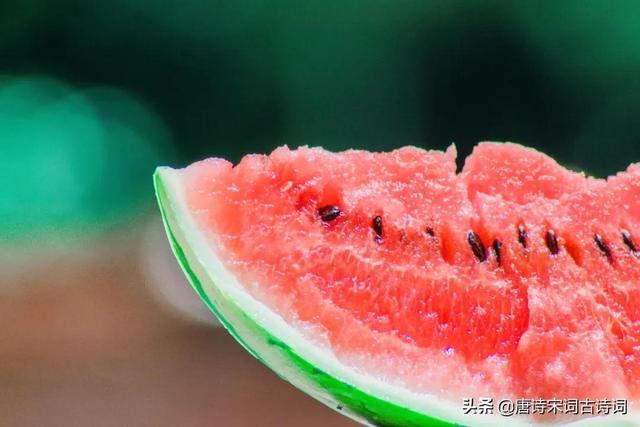 关于夏天的古诗句子（古人的夏天是怎么度过）