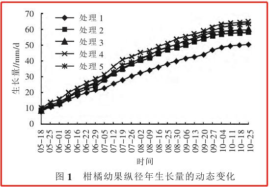 6月之后柑橘果实开始膨大，需要迅速不错营养了2