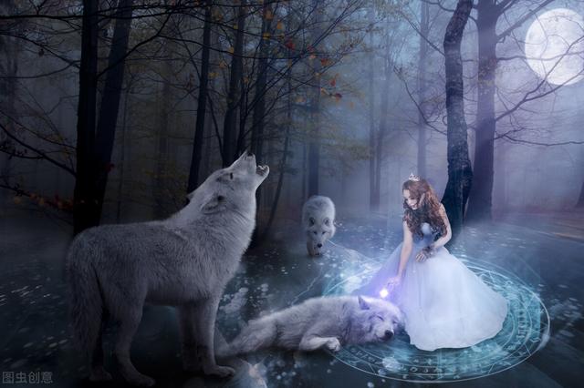 ps反选快捷键是什么（Ps怎么进行反选）