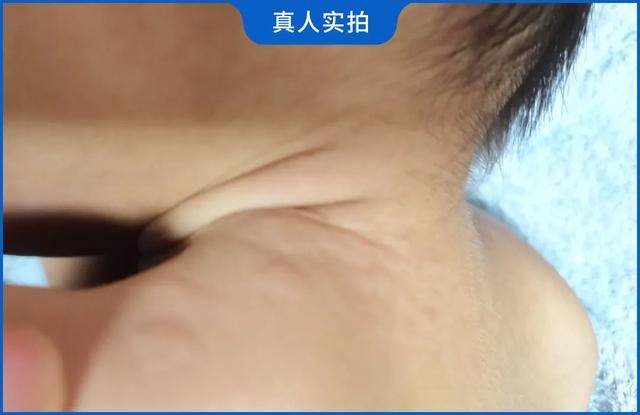 湖南工程网络展口碑推荐