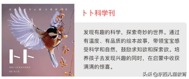 重视这一类阅读，孩子的阅读就有底气了