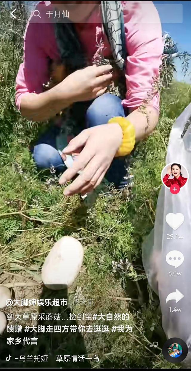 那个小姑娘歌词什么意思