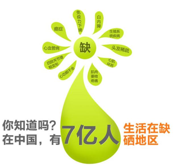 人体所需的健康要素（续）