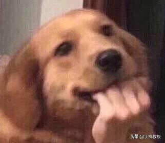 苹果笔记本什么系统（mac系统和Windows区别）