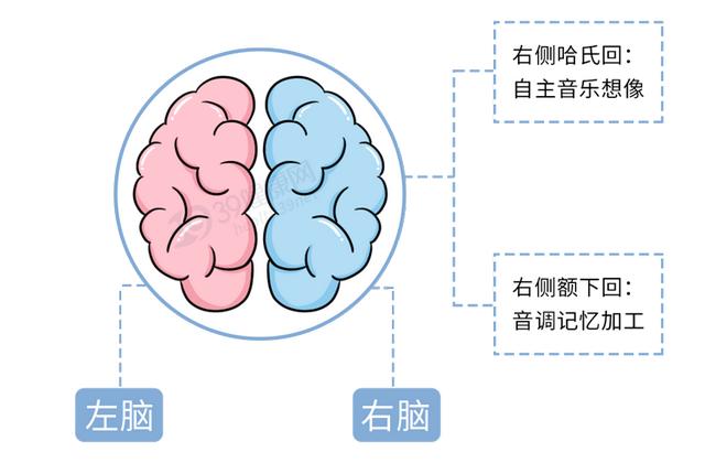 耳虫怎么办