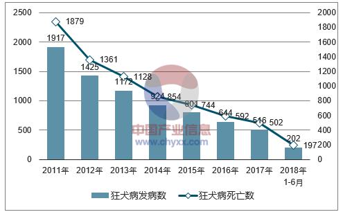 被咬了怎么办