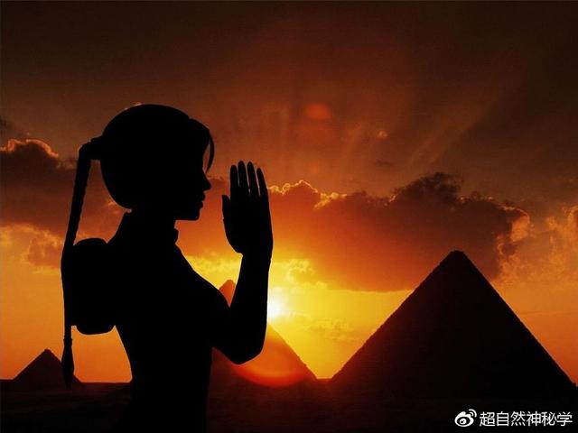 三叉子有什么功效(三叉子图片)
