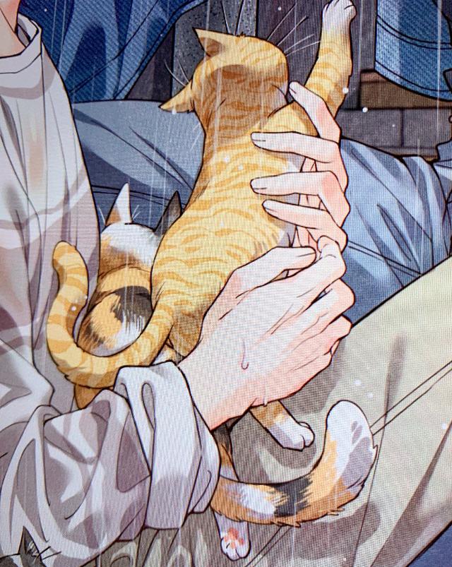 搞笑的漫画猫图片 破云漫画下拉式六漫画37 破云漫画下拉式6漫画 破云漫画下拉式奇妙漫画 元泽漫画