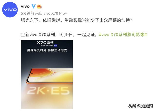 vivo X70系列屏幕信息公布：搭载2K E5屏