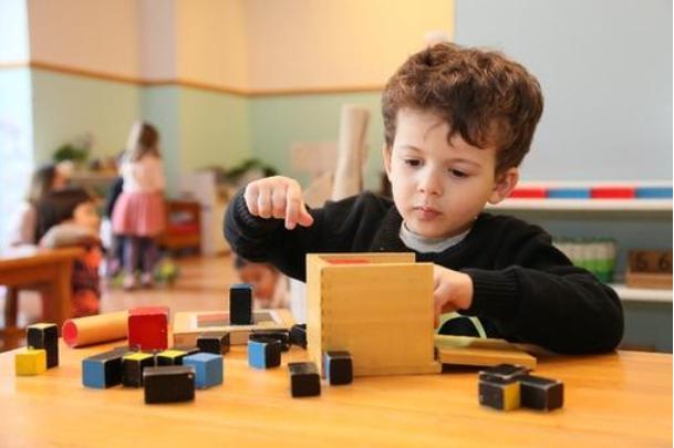 求求你，别再用蒙氏教育毁掉你的下一代了