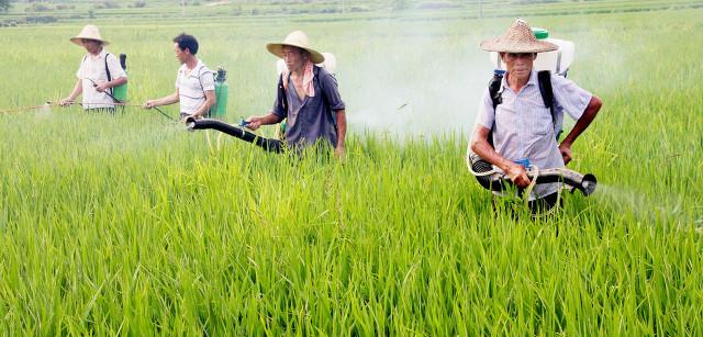 农业科普：噻虫嗪和吡虫啉有何区别？防治蚜虫是该选择谁？5