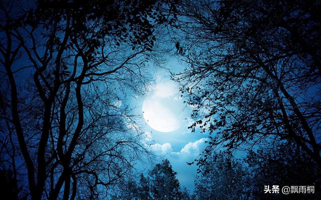 《浮生六记》：南康白起告诉你，最简单的幸福是什么？