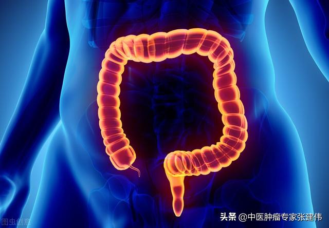 吃得太“好”容易患腸癌？出現這幾種癥狀，趕緊去醫院檢查一下