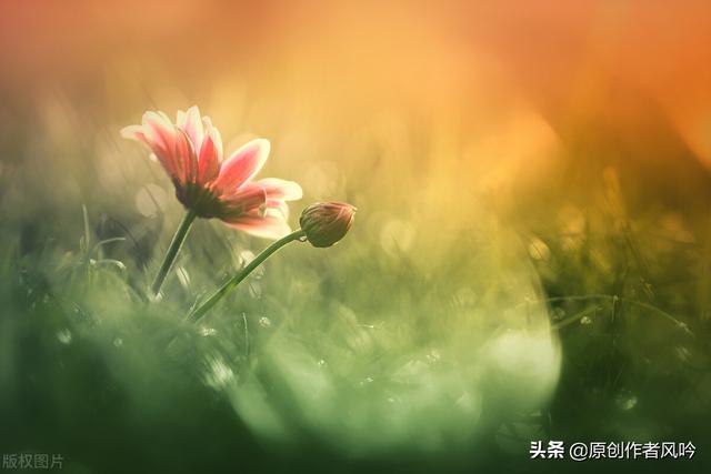 散文：清秋有梦，雨落成诗