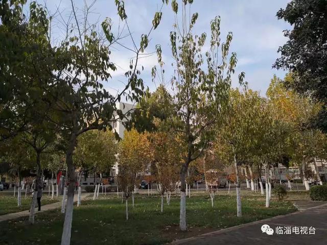 锂辉石破碎机