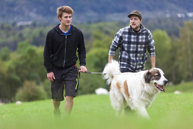 想要腰椎肩颈疼痛“不上门”？做到这5点有效缓解