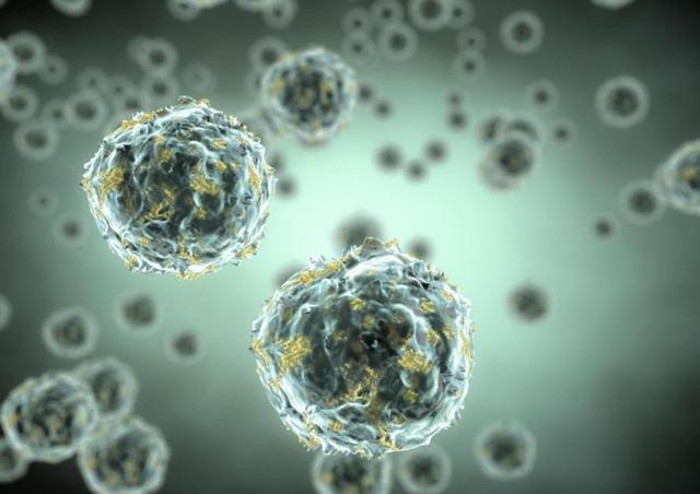 吃的咸竟然有好处！最新研究发现，高盐饮食或许可以抑制肿瘤生长