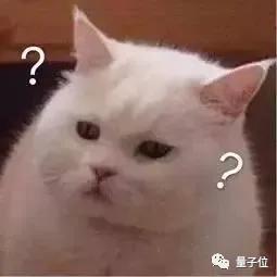 声称代码已开源却迟迟没更新，网友一怒之下把作者挂网上