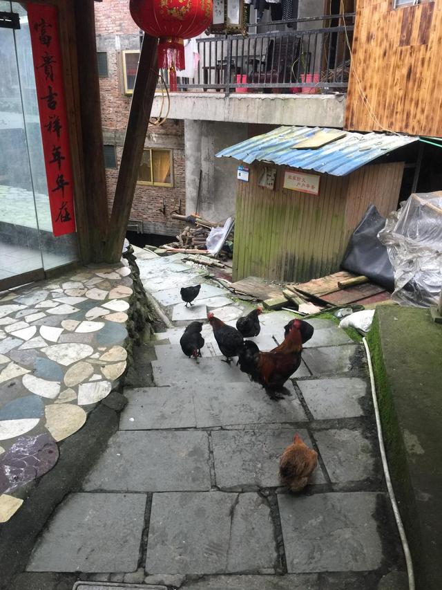 天门可逆锤式破碎机
