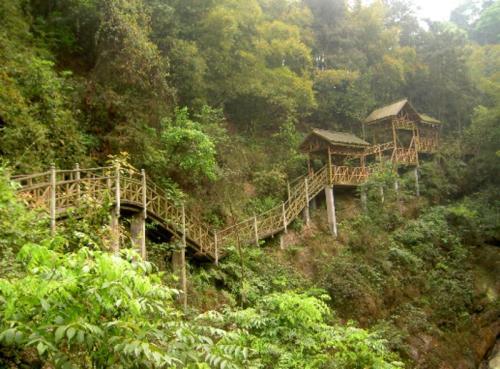 介紹北碚金果園生態旅遊區位於縉雲山麓,嘉陵江畔,與著名風景區北溫泉