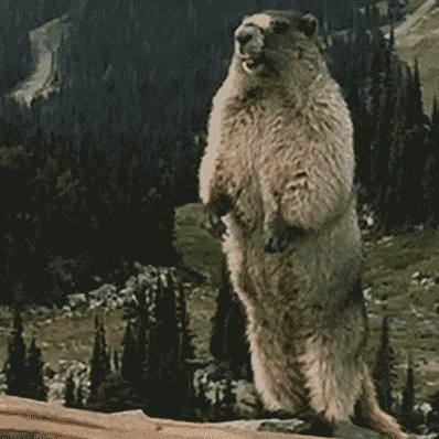 孩子的抗疲劳能力堪比「铁人三项」！家长表示扛不住了