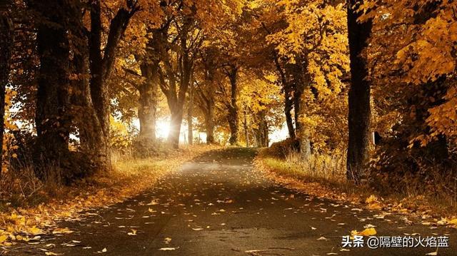 行动是治愈恐惧的良药 犹豫拖延将不断滋养恐惧