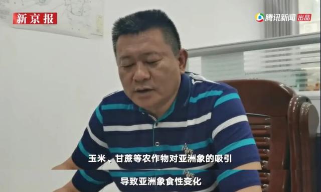 云南挖斗洗砂机厂家直销