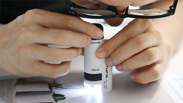 显微镜一定要切片吗，显微镜切片制作方法