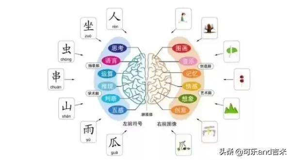 有这3种表现的孩子，说明右脑发达，父母平时要好好栽培