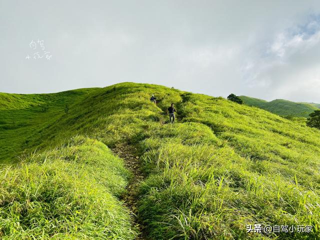 深圳一路向东，这8个绝美秘境，人少安静，景色又美，包你玩爽