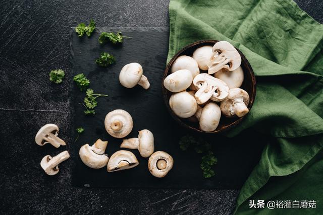 白蘑菇可以生吃吗？生吃白蘑菇对身体有什么危害？