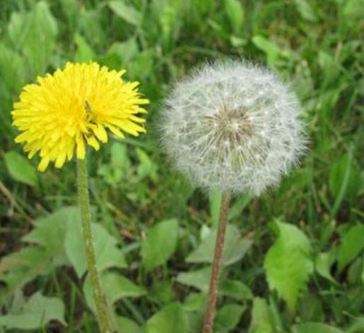 占卜我的婚姻好不好