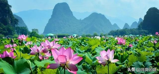 公司一天团建
