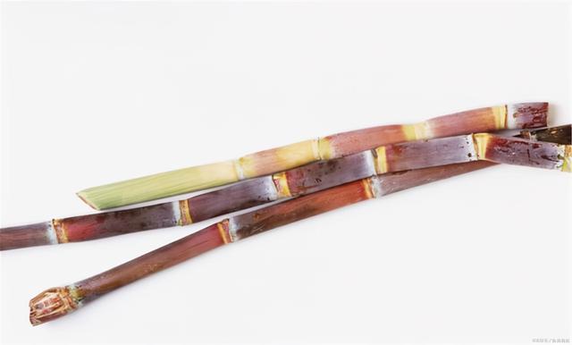 肠胃不好，4种水果，再馋也要管住嘴！常吃3物，胃或许慢慢变好