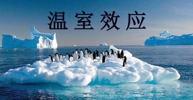 风力发电机一台造价多少钱（中国风力发电现状）