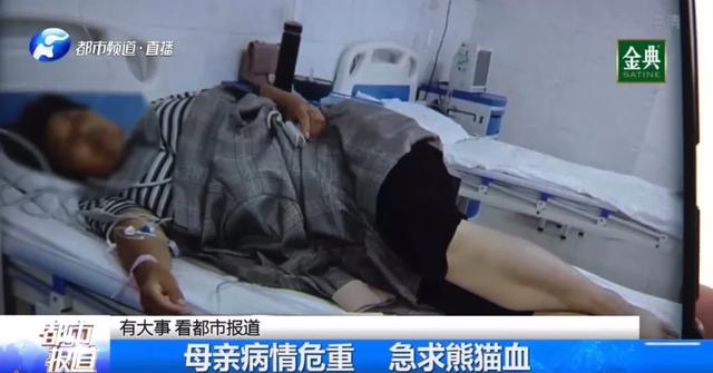 紧急求助！新乡一女子急需熊猫血，家人急疯了