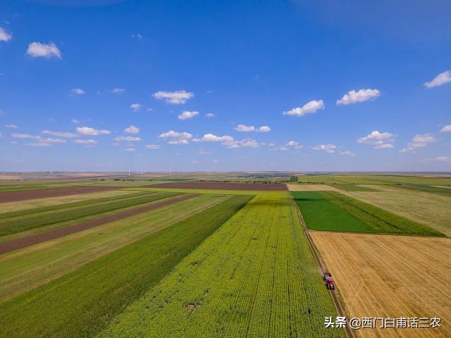 中国18亿亩耕地，维持每年6.5亿吨粮食产量，需要多少种地农民？2