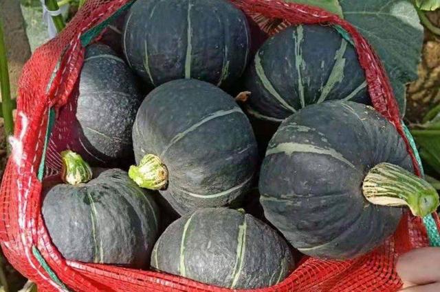 这3样东西不能和南瓜一起吃，没有营养却有害，告诉家里人要注意