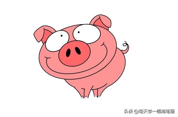 每天学一个简笔画——粉色卡通猪简笔画插图