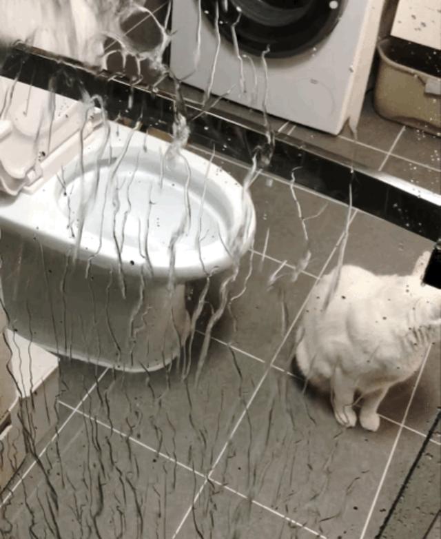 鱼鳞隔断