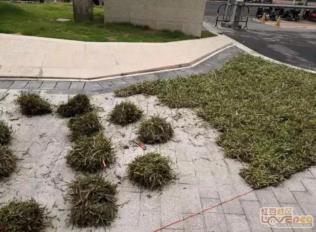 防城港石粉洗砂机报价