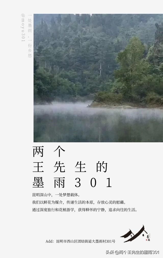 王先生的教育观