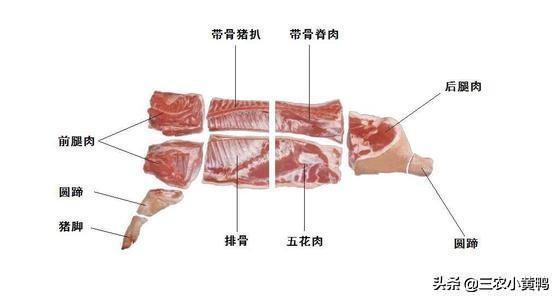糟头肉是什么肉，炭烧槽头肉，收藏版下酒硬菜