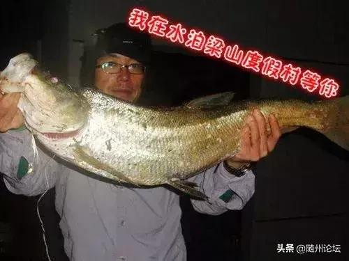 常熟梁山工程灯光展
