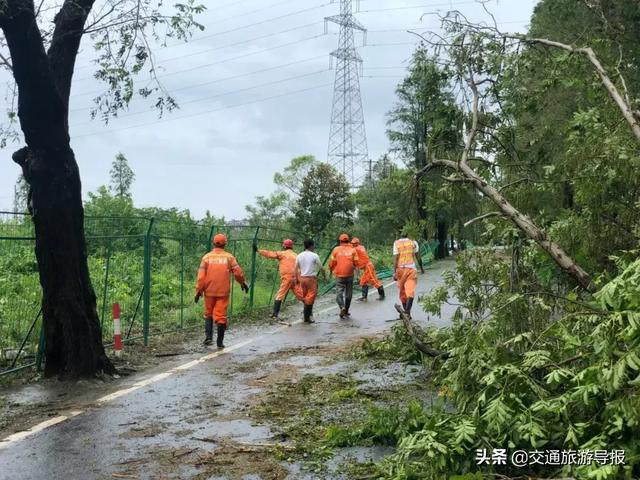 乌市新市区进口轮式洗砂机