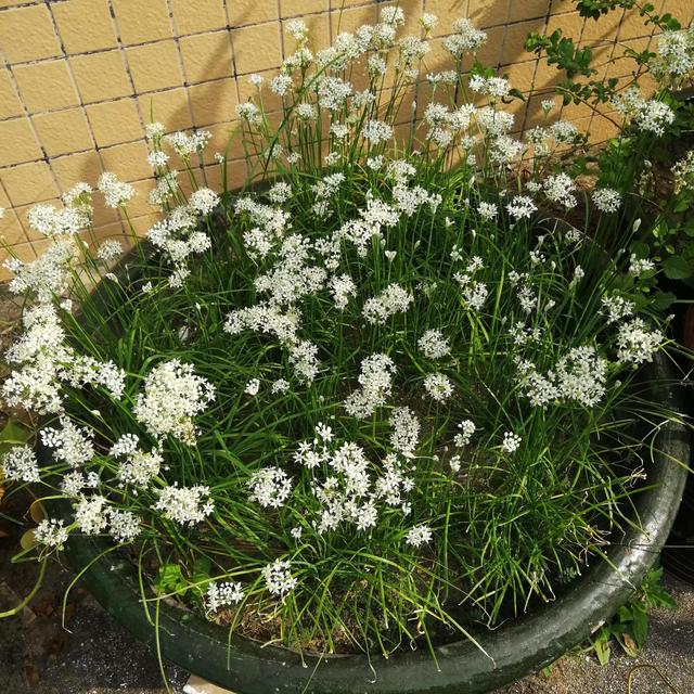 生活中注意三方面，让你远离癌症