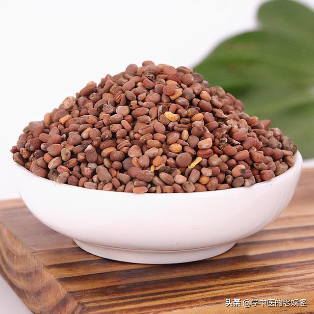 每日学习一味中药——莱菔子